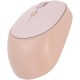 HP M231 Wireless + Bluetooth Mouse (Dual Mode)